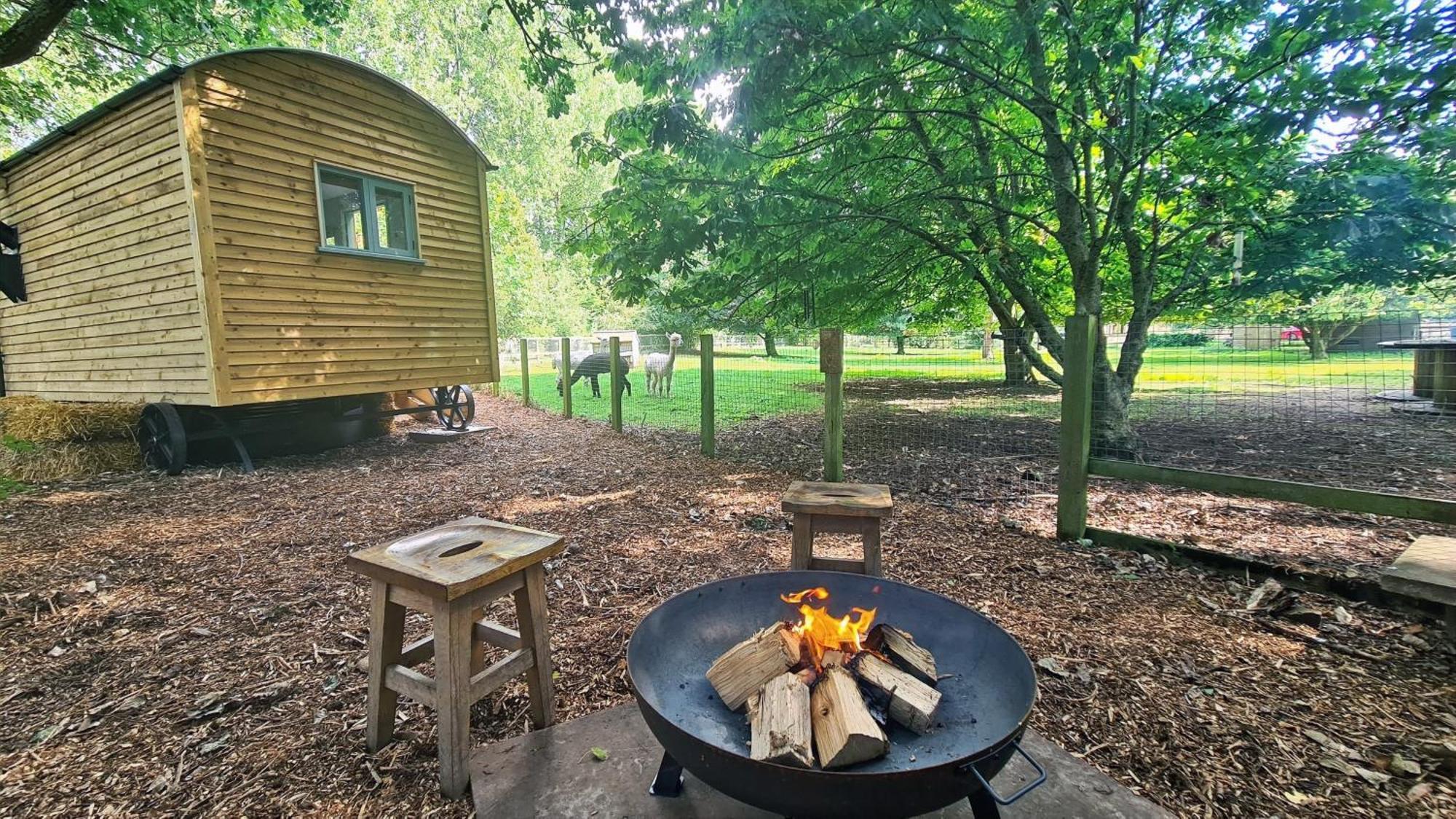 Horsley Hale Farm Glamping Hotel Ely Cameră foto